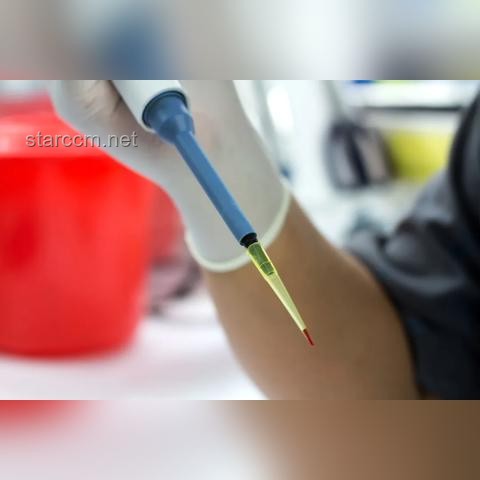 加州上千人围攻美联邦大楼：应对与解决方案